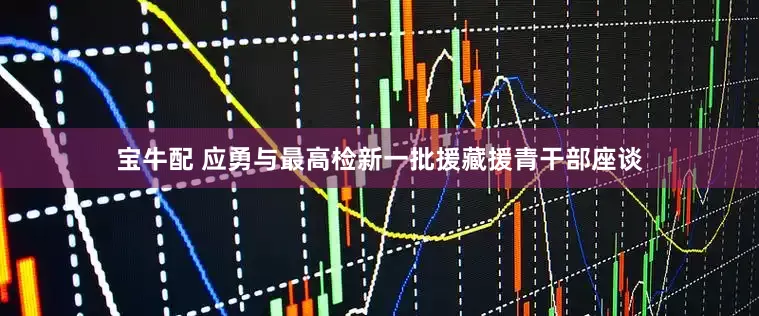 宝牛配 应勇与最高检新一批援藏援青干部座谈