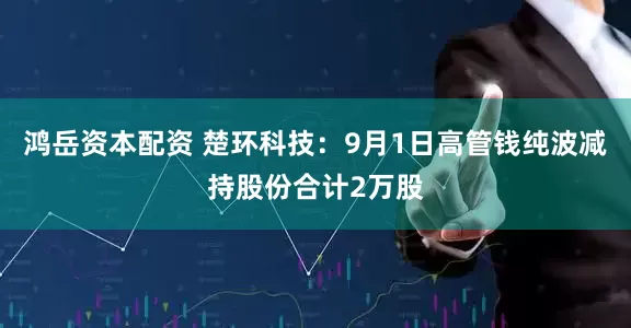 鸿岳资本配资 楚环科技：9月1日高管钱纯波减持股份合计2万股